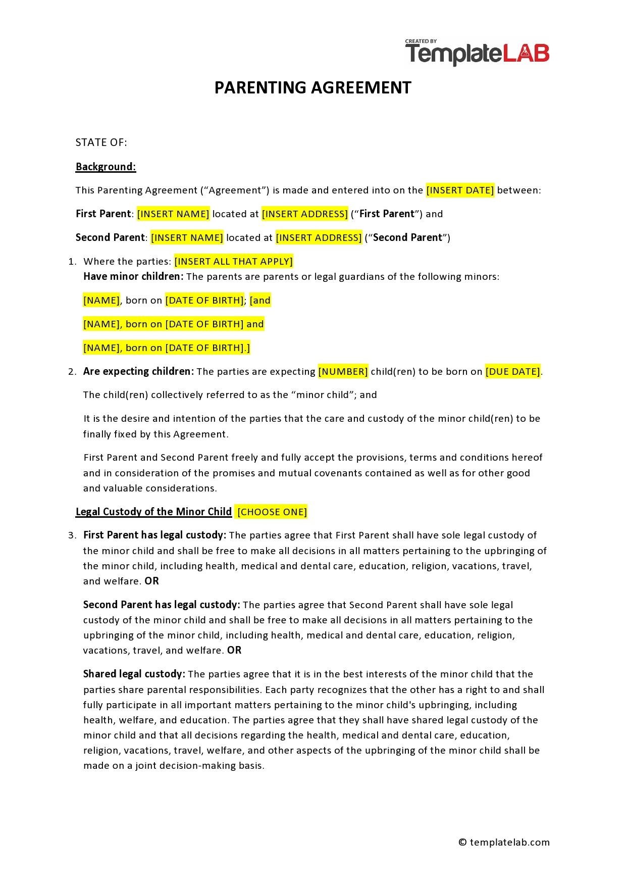 49 FREE Parenting Plan amp Custody Agreement Templates