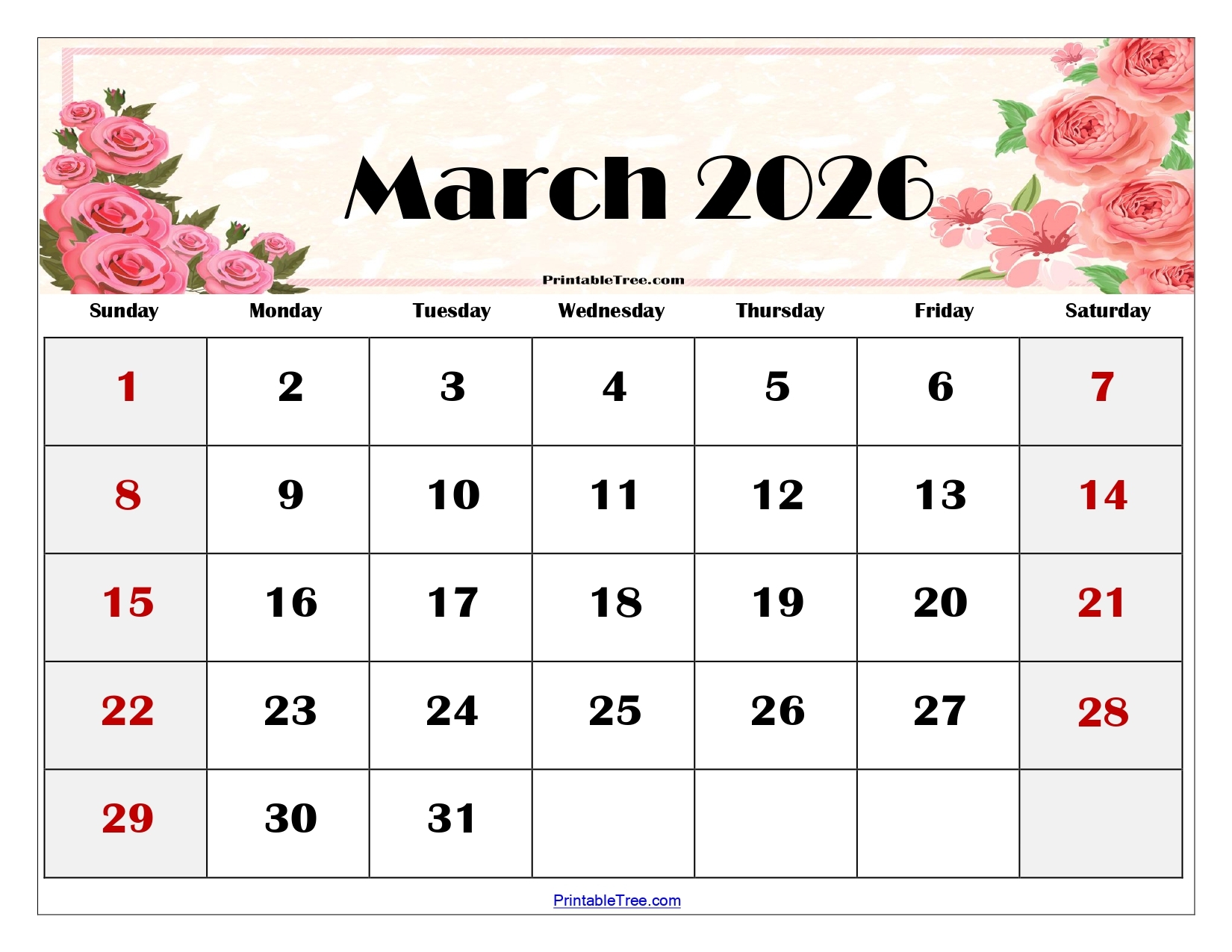 Blank Printable March 2026 Calendar