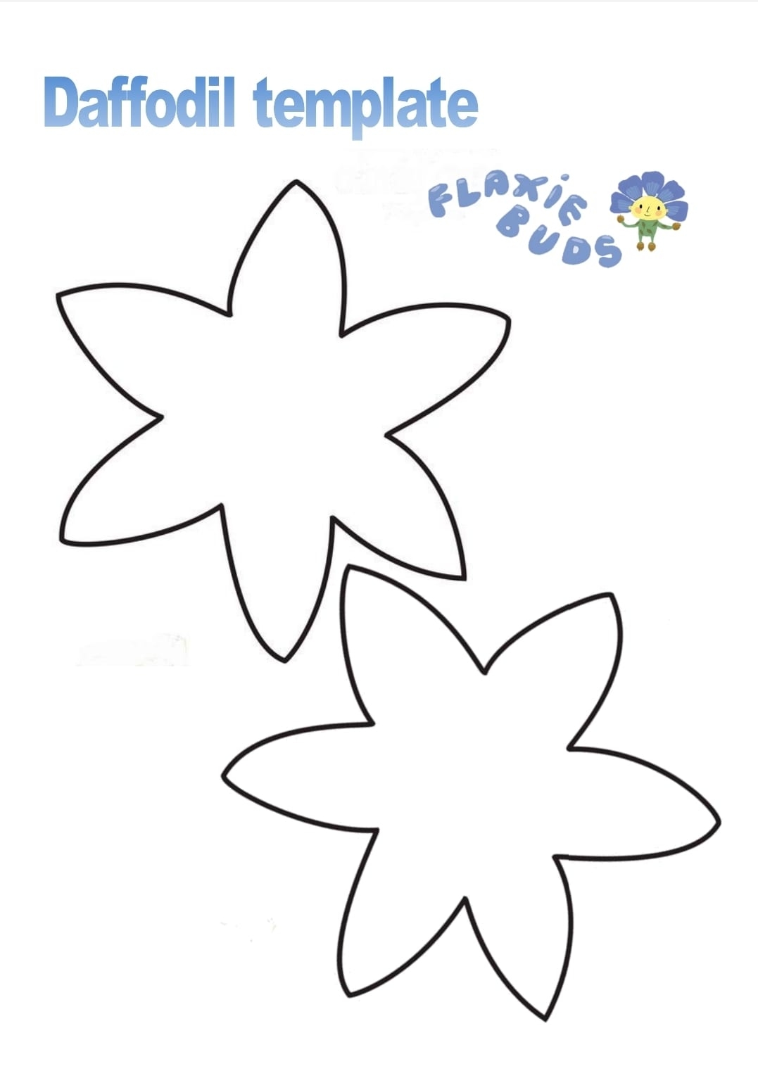 Daffodil Template Irish Linen Centre amp Lisburn Museum