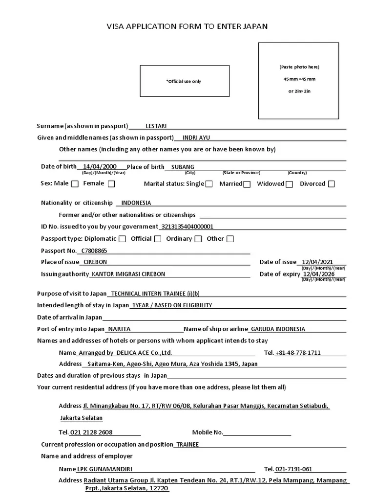 Delica Ace Indri Ayu Lestari PDF Travel Visa Crime amp Violence
