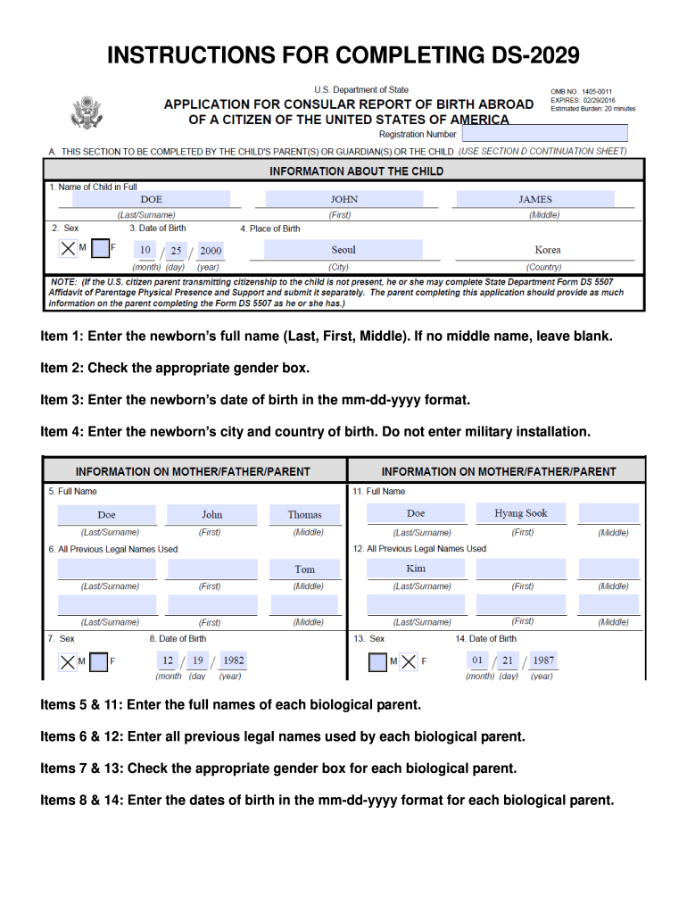 Ds 2029 Form Online Fill Out amp Sign Online DocHub
