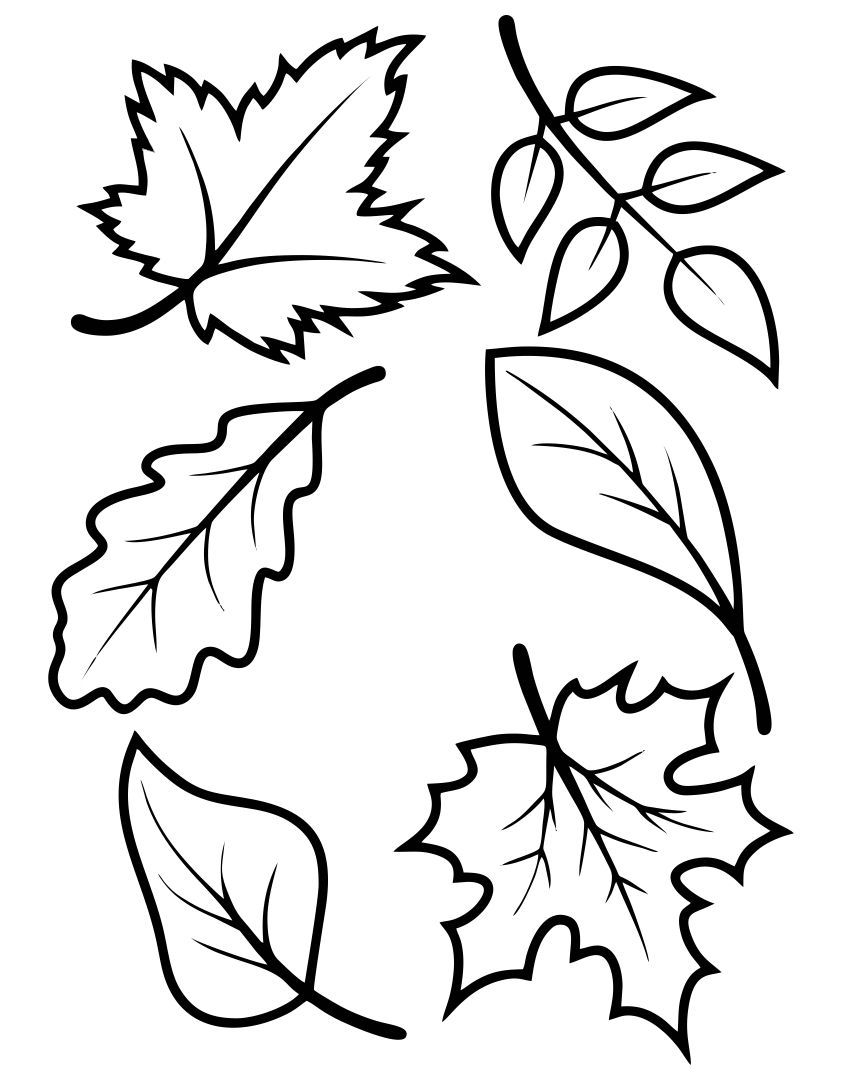 Free Printable Fall Leaves Template