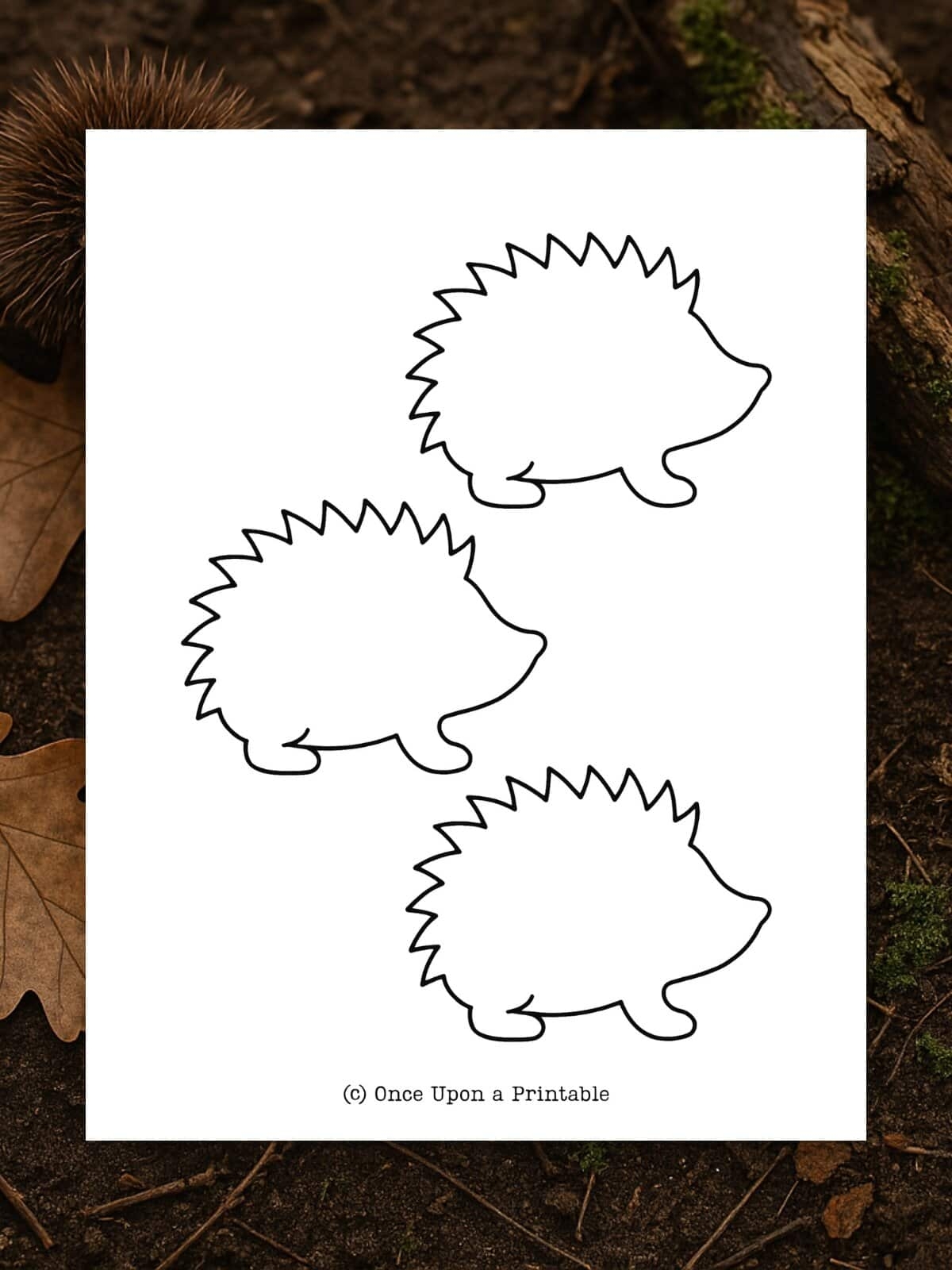 Hedgehog Templates Free Printables Once Upon A Printable