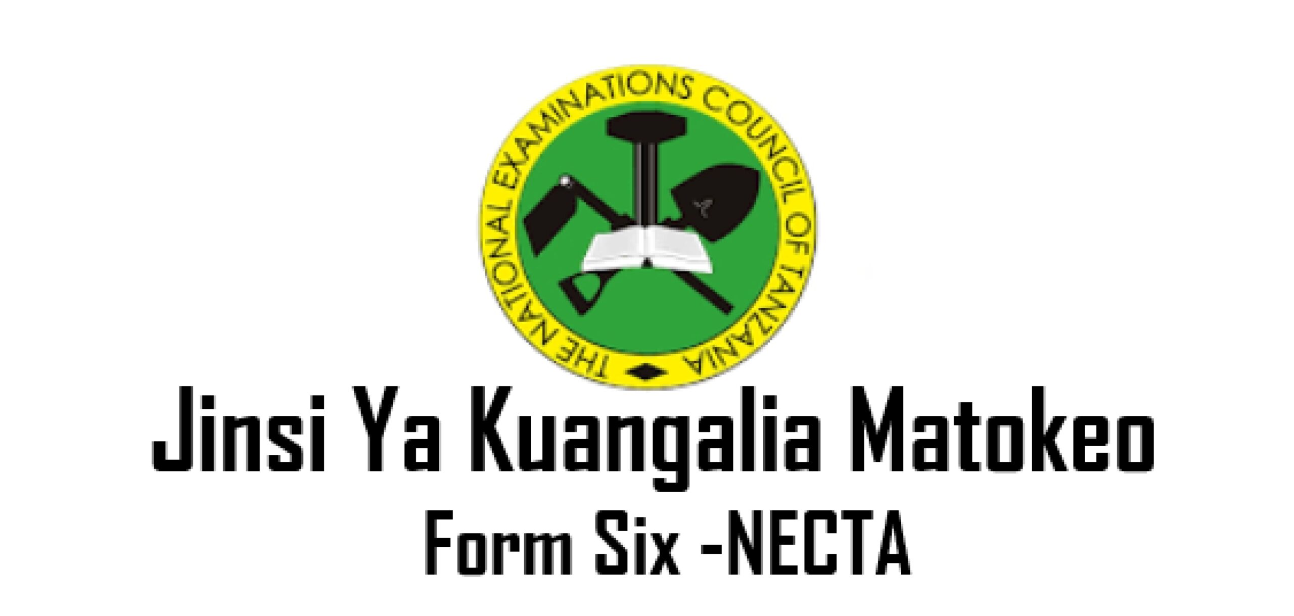 How To Check Form Six Examinations Results 2025 2026 Jinsi Ya 