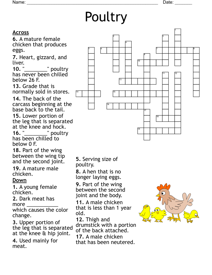 How Well Do You Know Your Family Bingo Cards WordMint