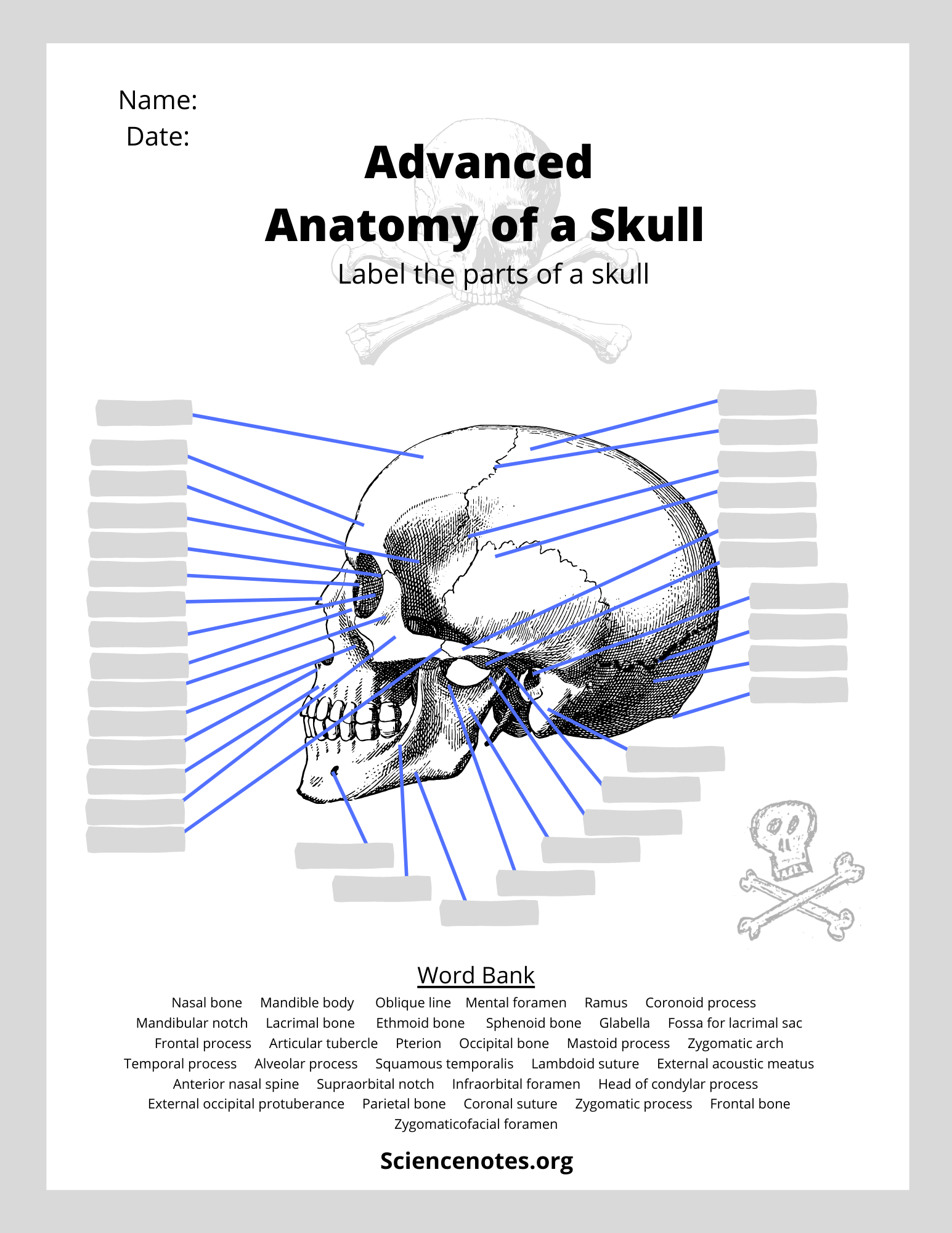 Anatomy And Physiology Printable Worksheets