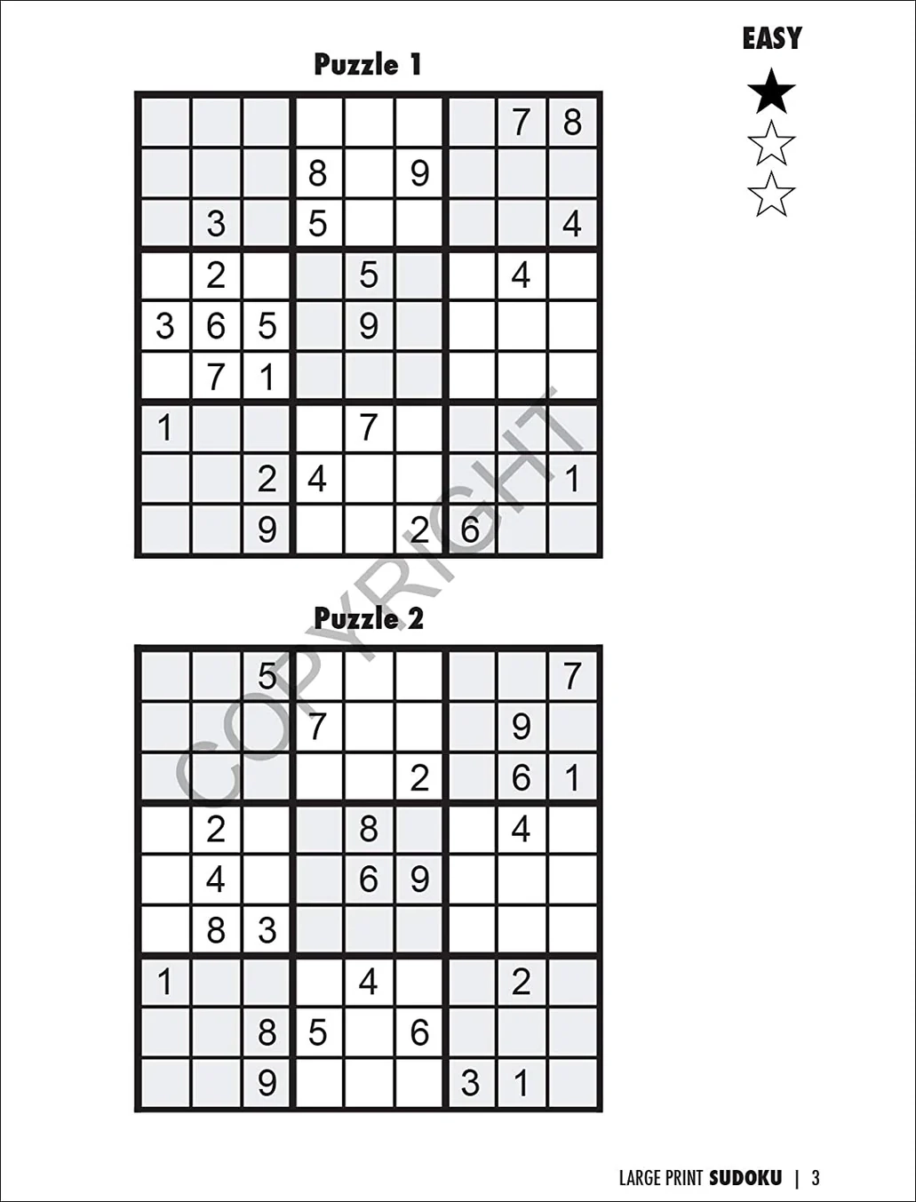 Large Free Printable Sudoku Puzzles