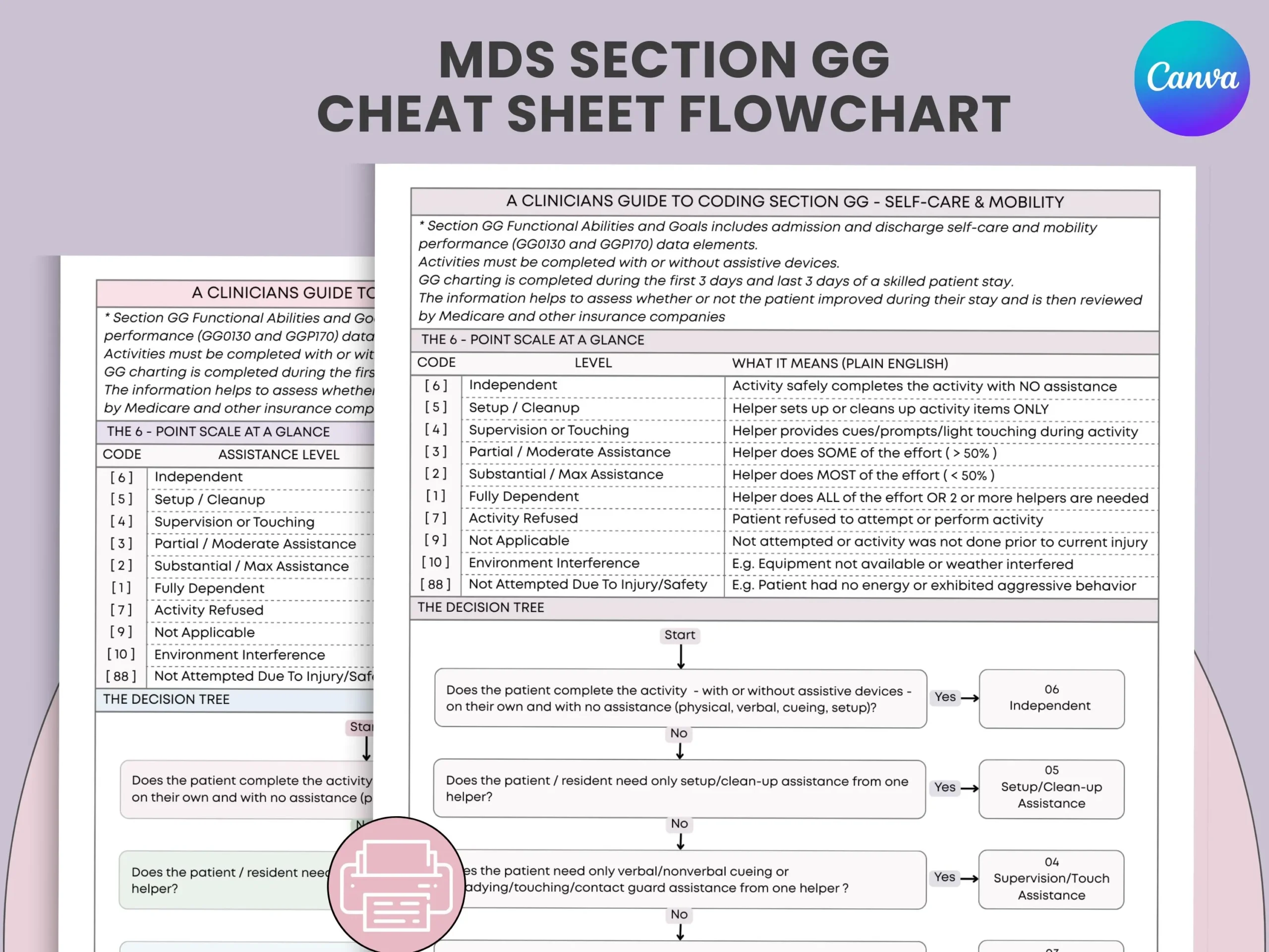 Printable Mds Section C