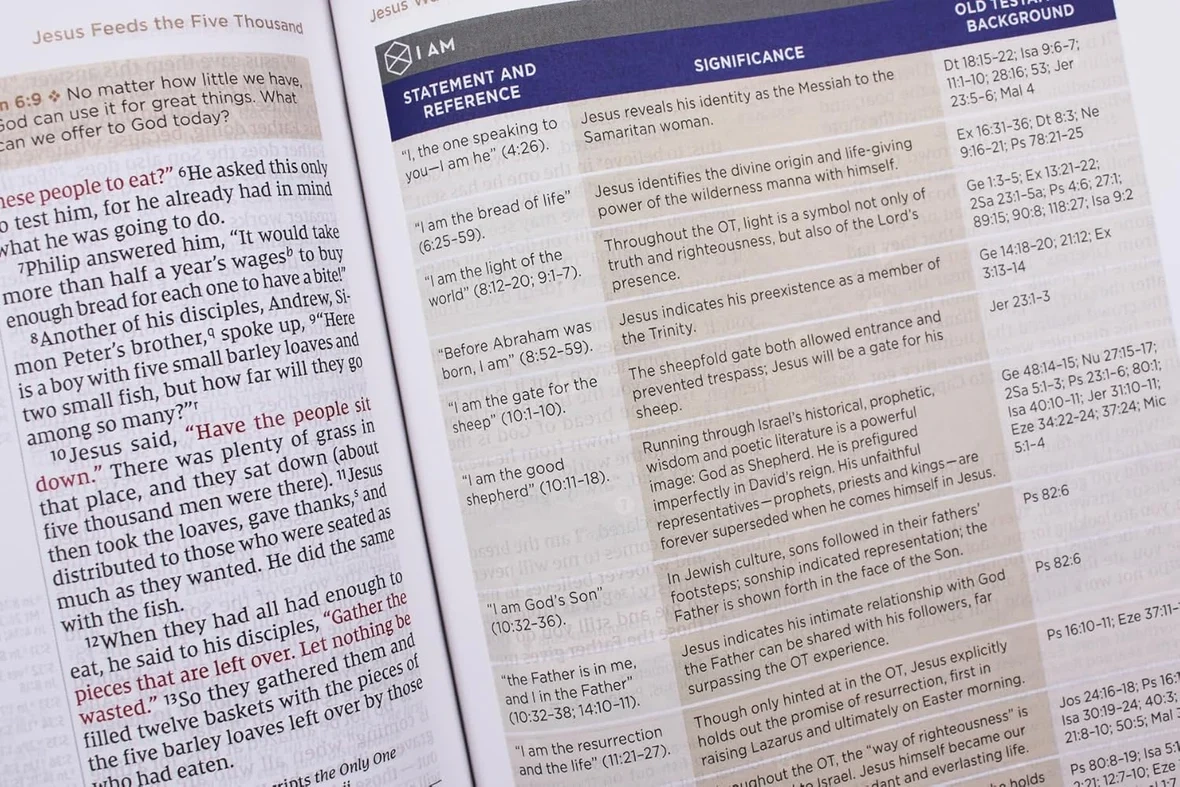 NIV Application Bible Red Letter Comfort Print Bringing The 