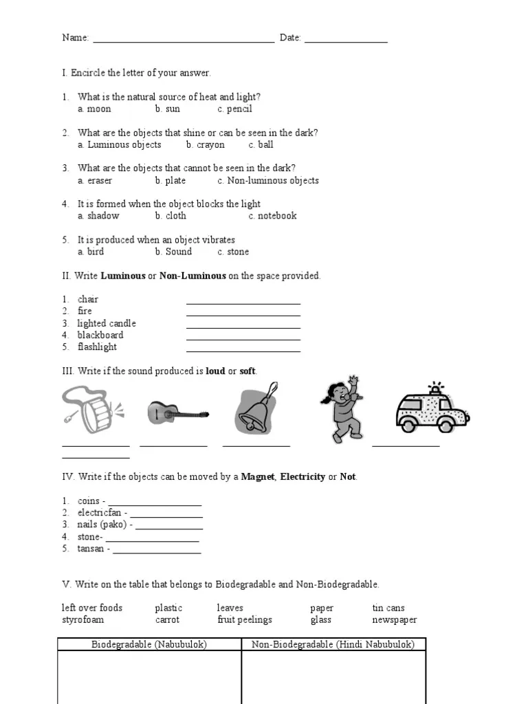 Free Printable Science Worksheets 2nd Grade