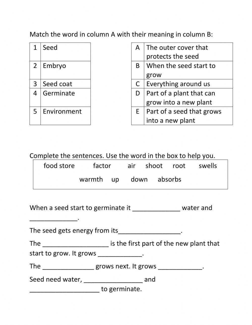 Science Review Grade 4 Worksheet Live Worksheets Worksheets 