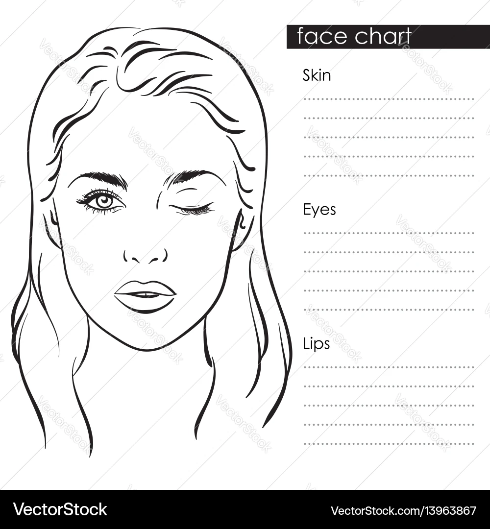 Woman Face Chart Template Lizenzfreie Vektorgrafik VectorStock
