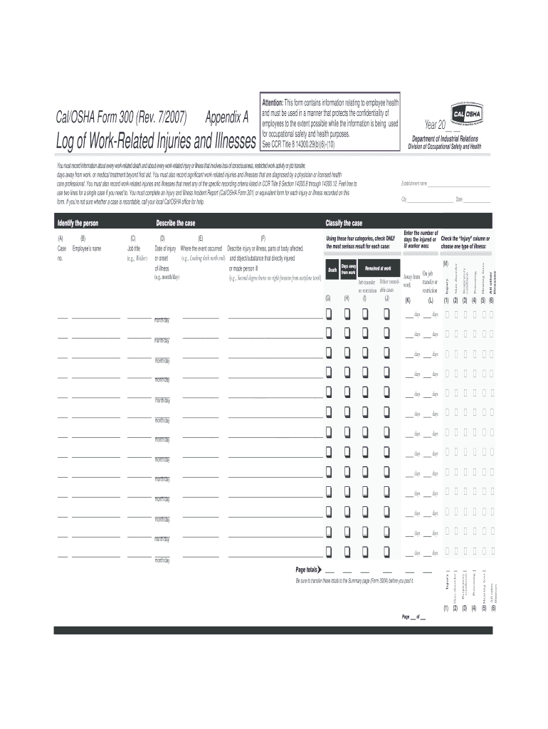 2007 2025 Form OSHA 300 Fill Online Printable Fillable Blank 