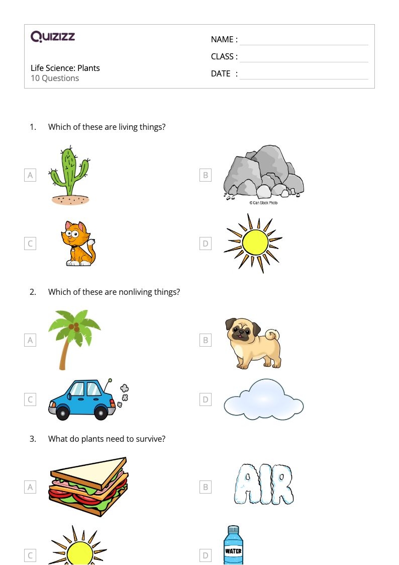 50 Science Worksheets For 1st Class On Quizizz Free amp Printable