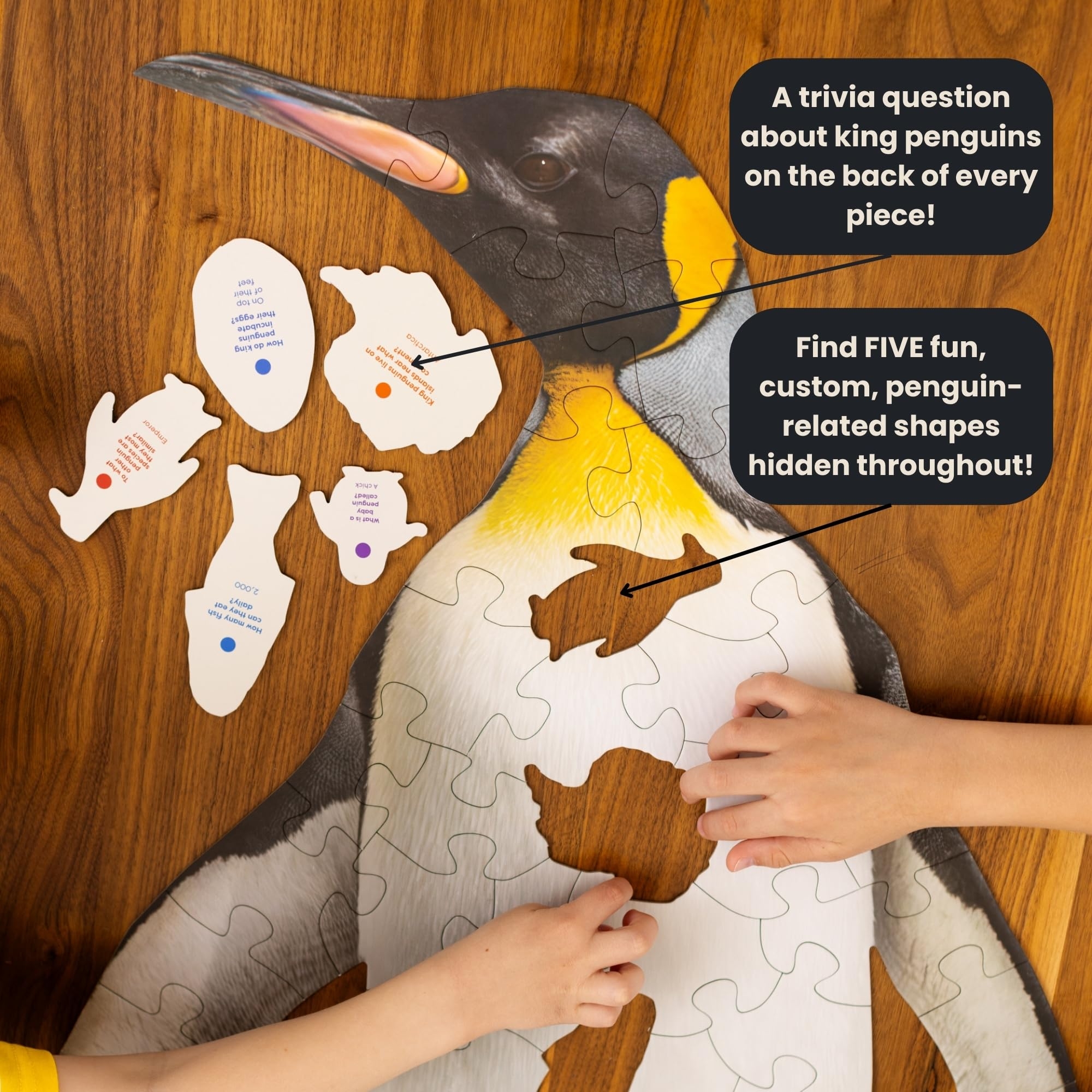 Penguin Puzzles For Kids