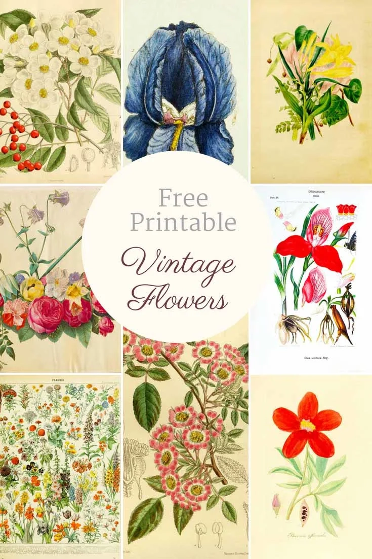 Free Printable Floral Printables