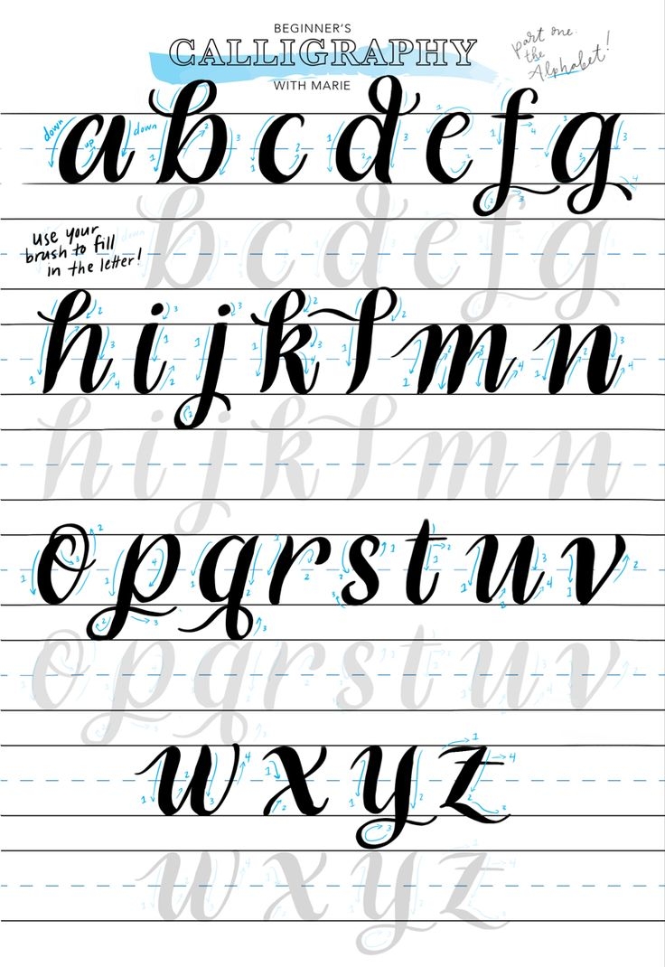 Beginner s Calligraphy Template