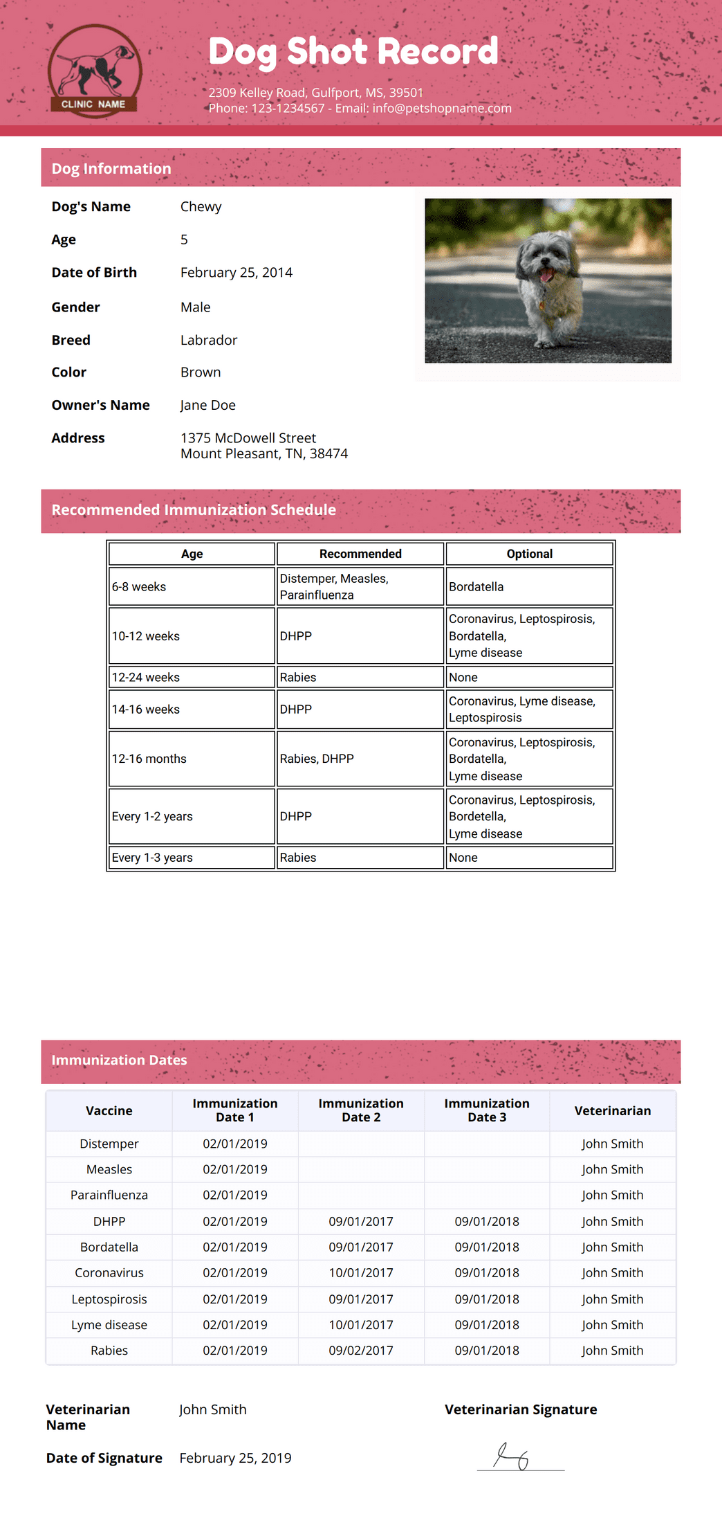 Dog Shot Record Template PDF Templates Jotform