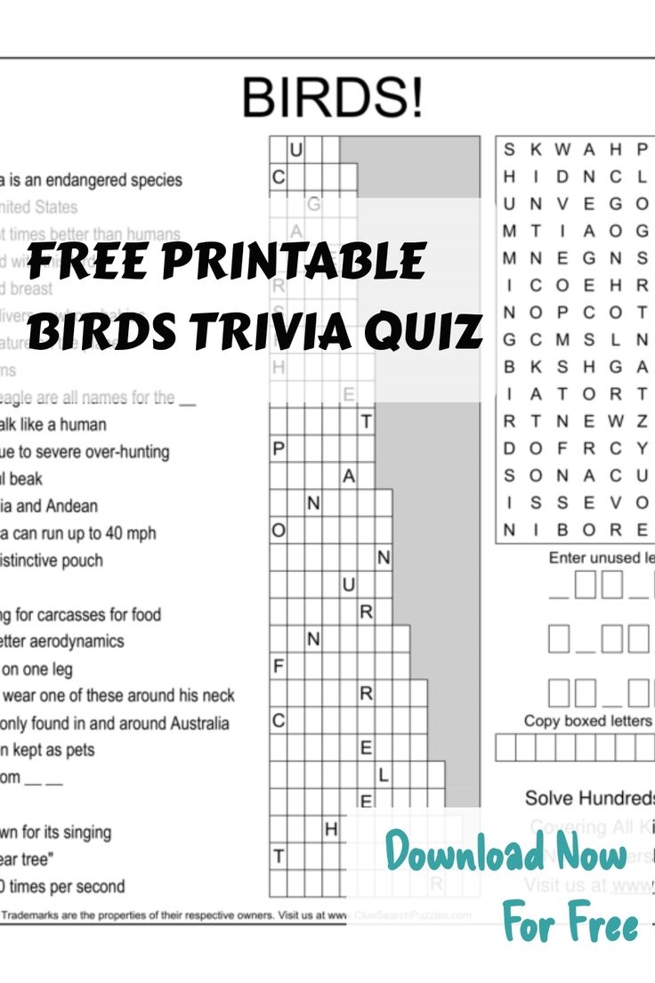 Free Printable Birds Trivia Quiz