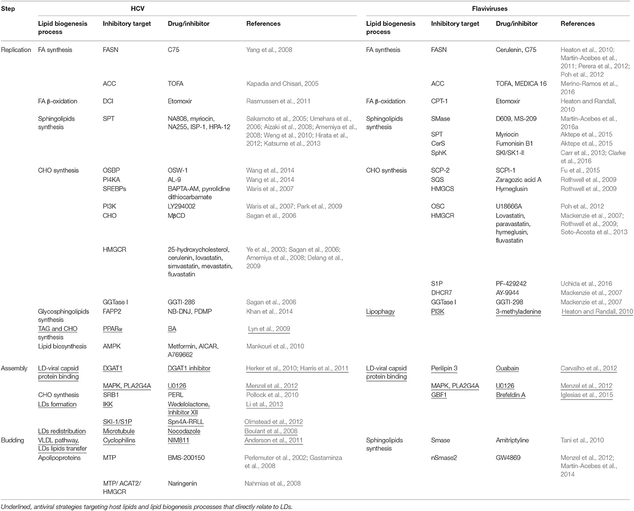 Frontiers Modulation Of Lipid Droplet Metabolism A Potential 
