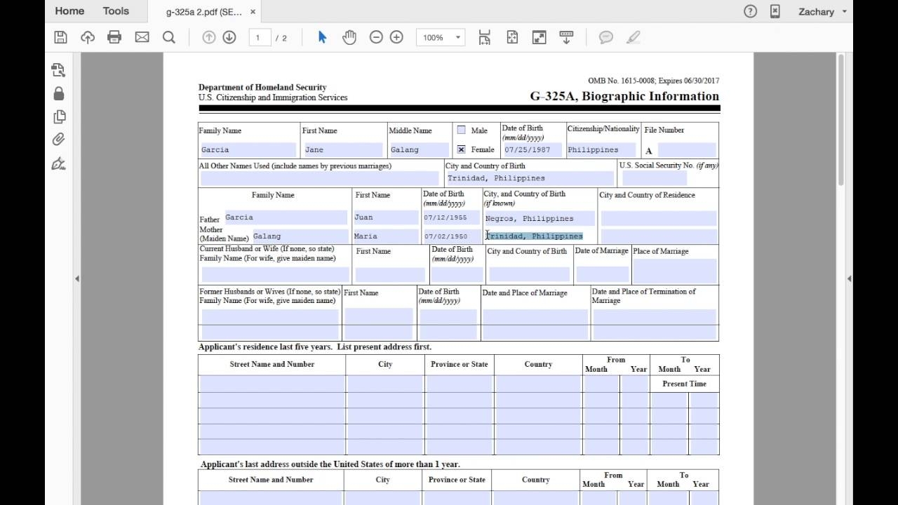 G 325A Biographic Information Page Applicant K 1 Visa