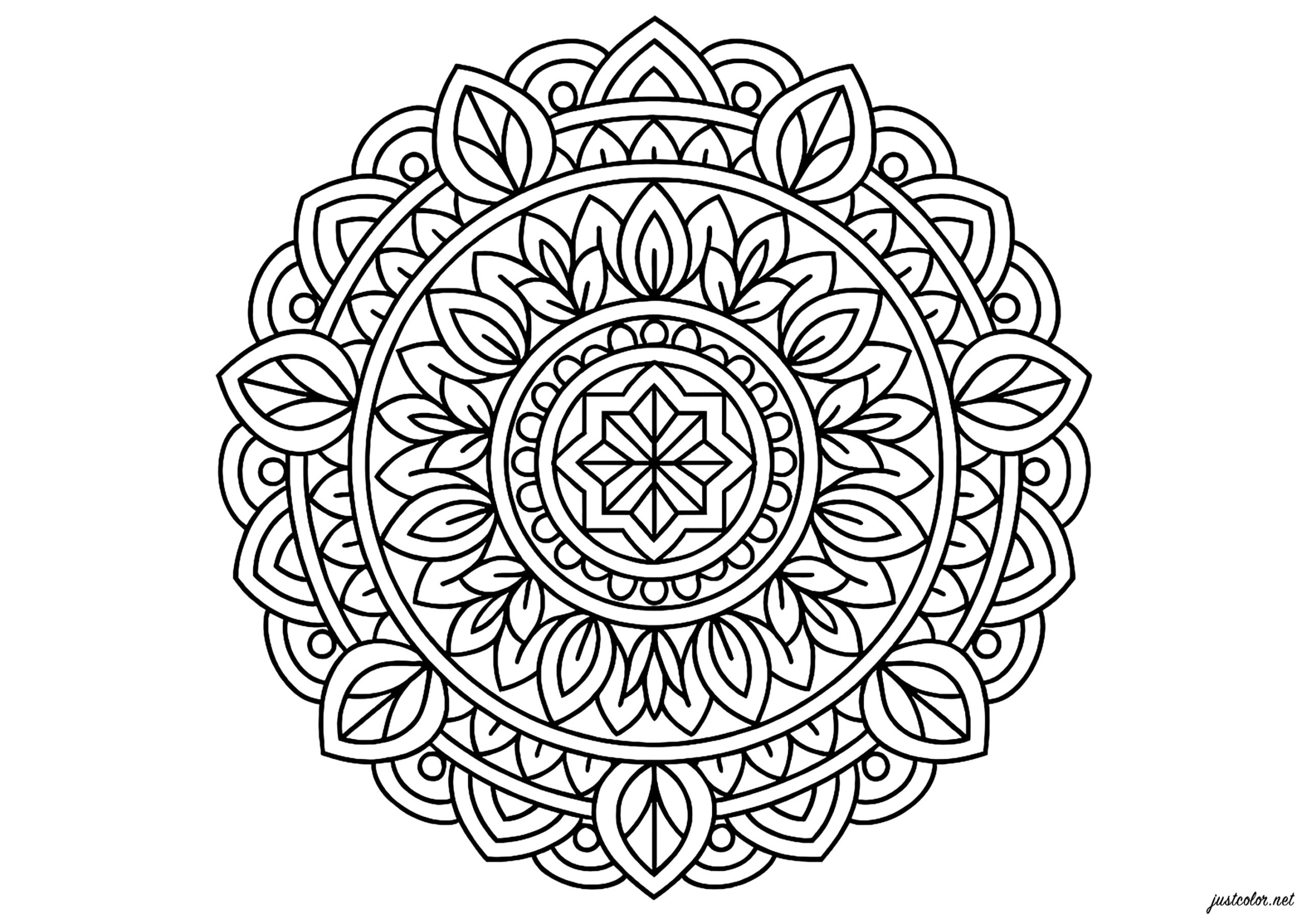 Geometric Mandalas With Plant Motifs Mandalas Coloring Pages For 
