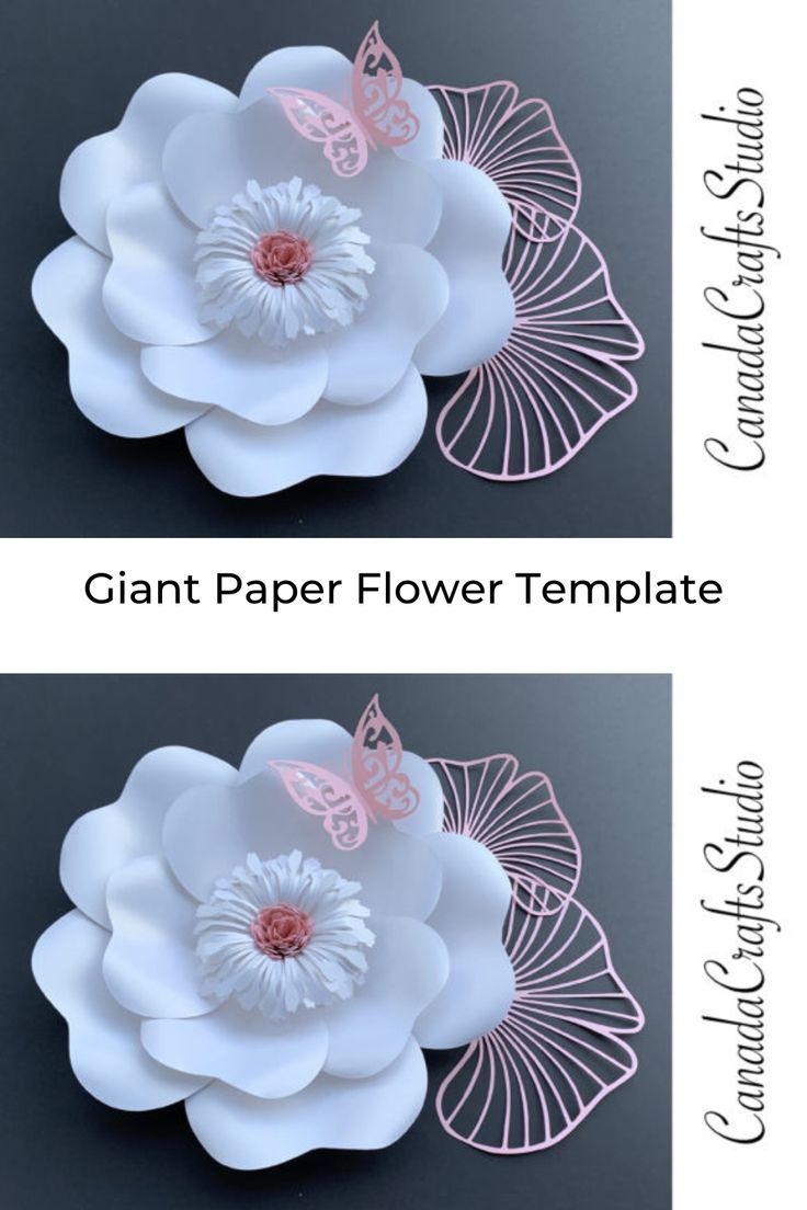 Giant Paper Flower Template