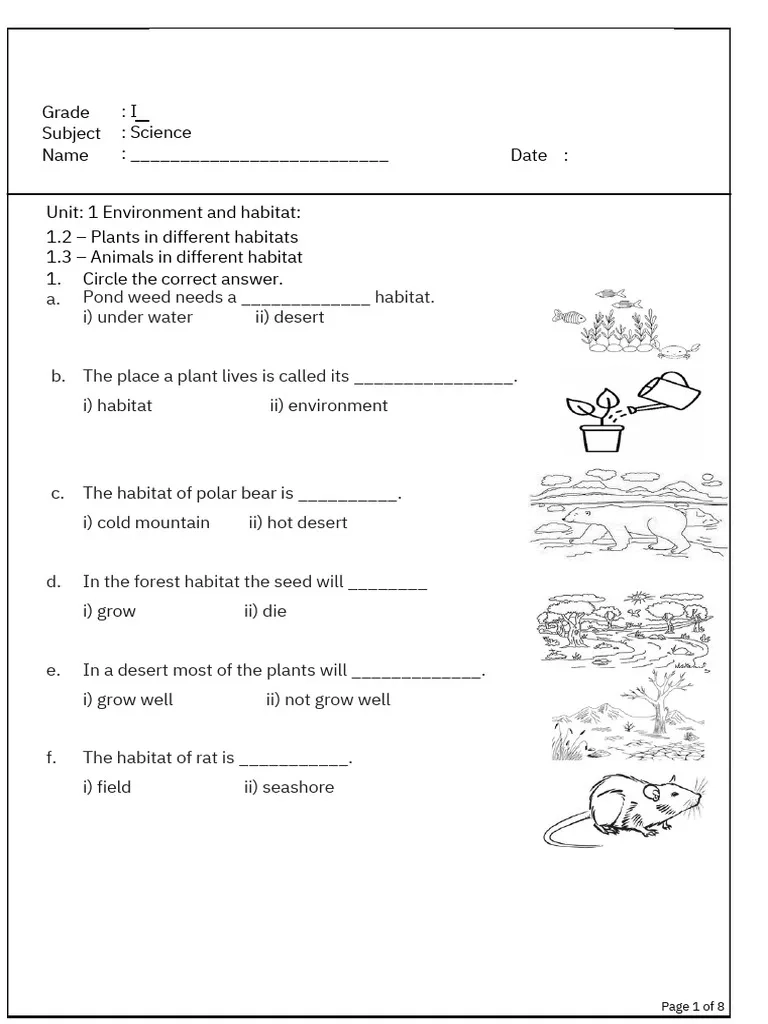 Printable Science Worksheets Grade 1