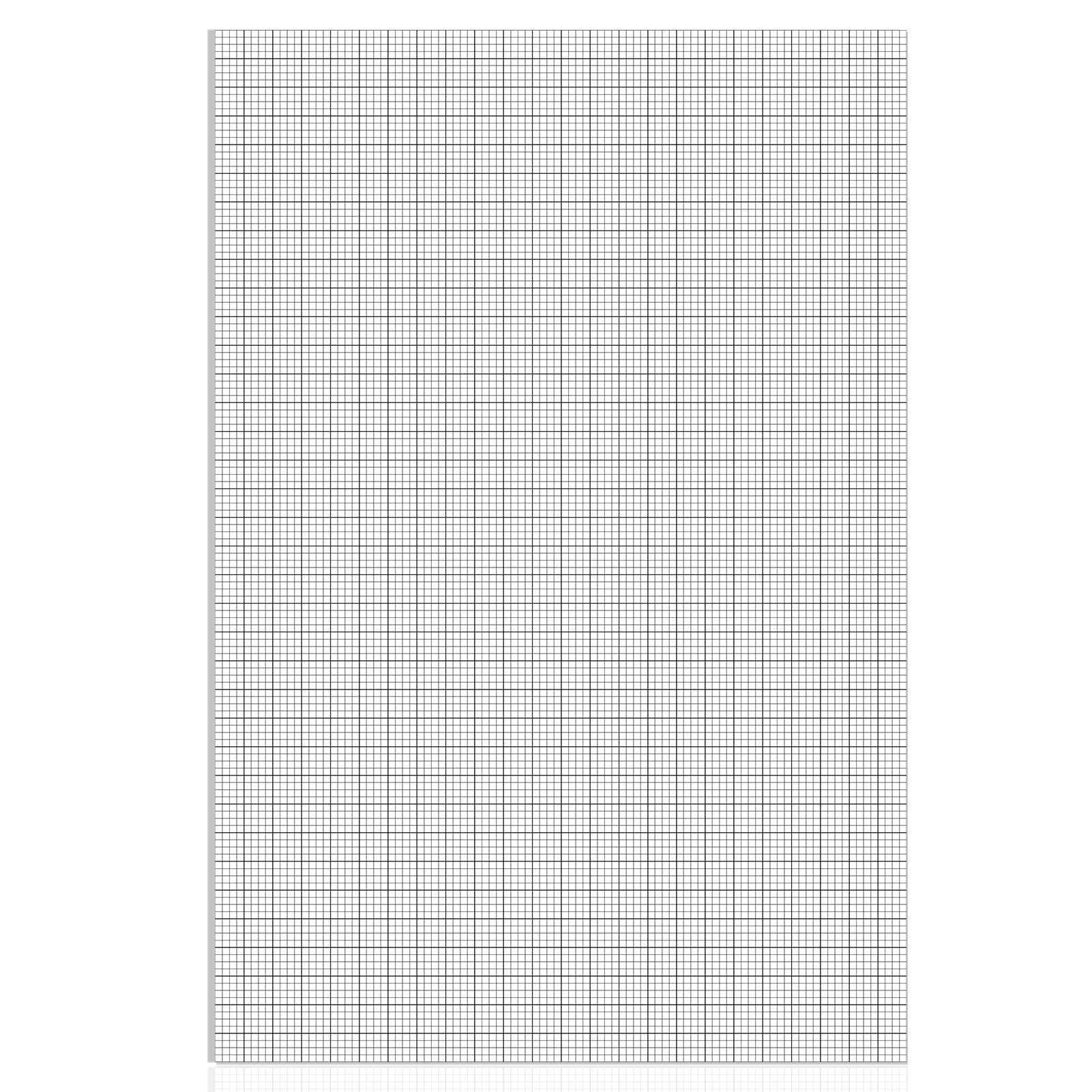 Graph Paper Large Grid