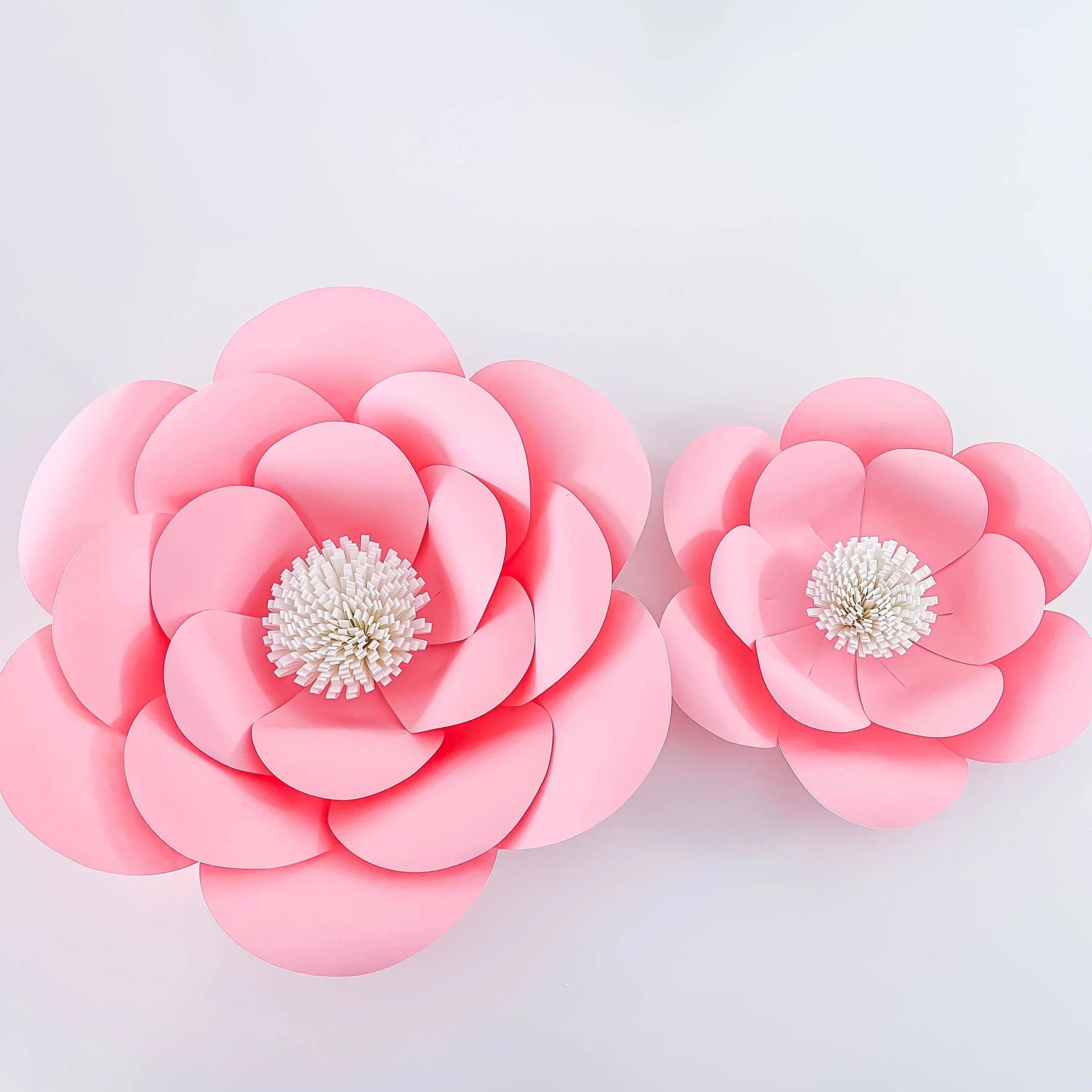 PDF Petal 1 Printable Paper Flowers Template Manageable For Trace 