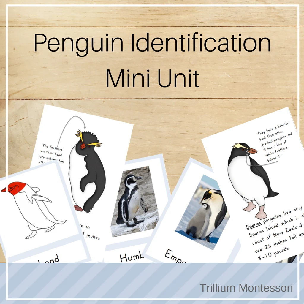 Penguin Identification Mini Unit