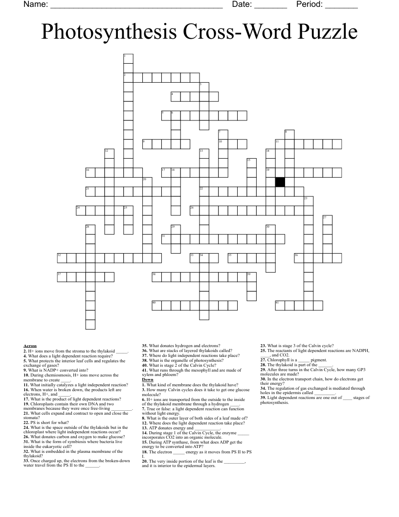 Photosynthesis Cross Word Puzzle Crossword WordMint