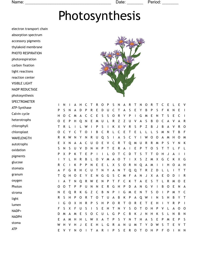 Free Printable Crossword Puzzles Photosynthesis