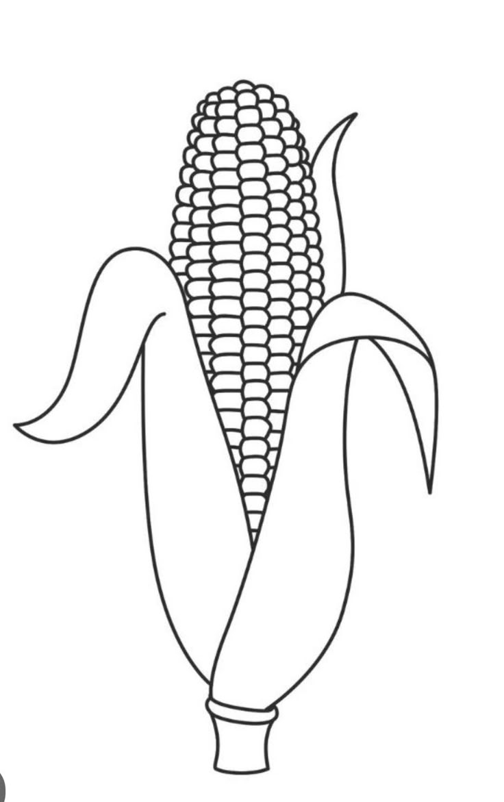 Pin By Stephanie Havens On Drawing And Drawing Tips In 2025 Corn 