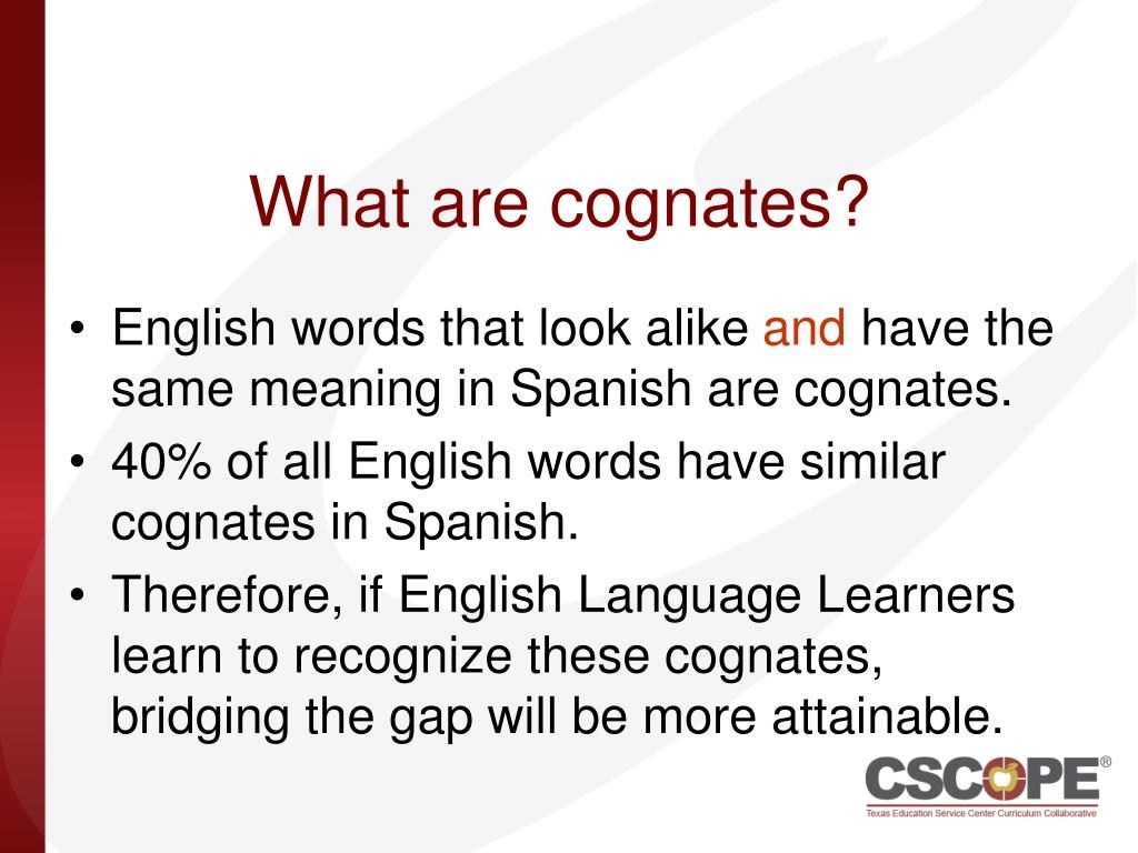 PPT COGNATES AND FALSE COGNATES PowerPoint Presentation Free 