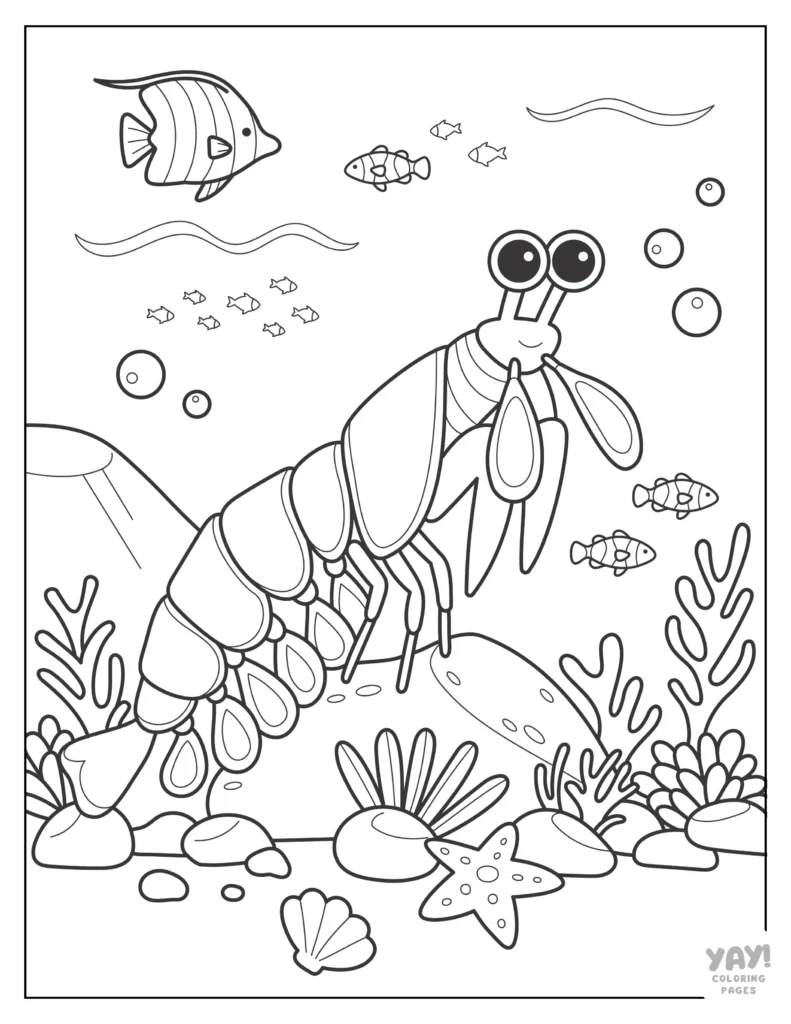 Sea Animal Coloring Sheets Free Printable
