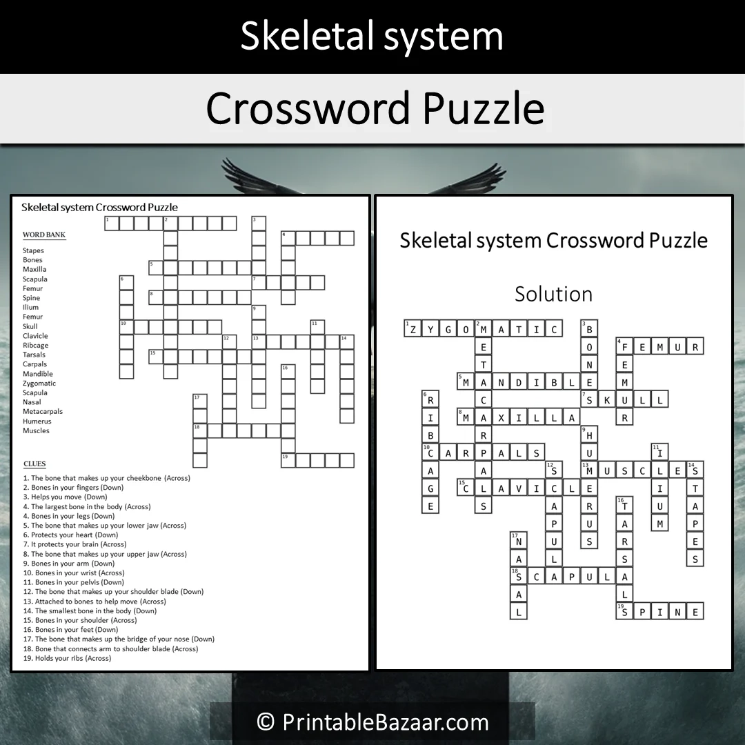 Skeletal System Puzzle Printable