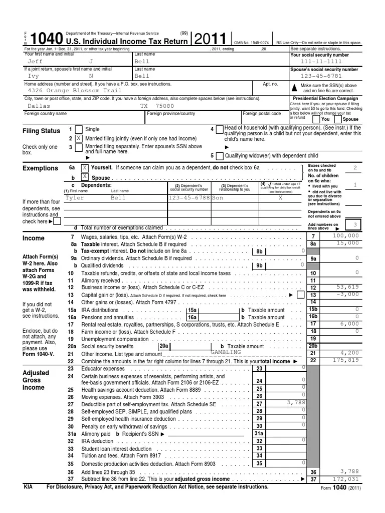 Tax Return Project PDF Irs Tax Forms S Corporation