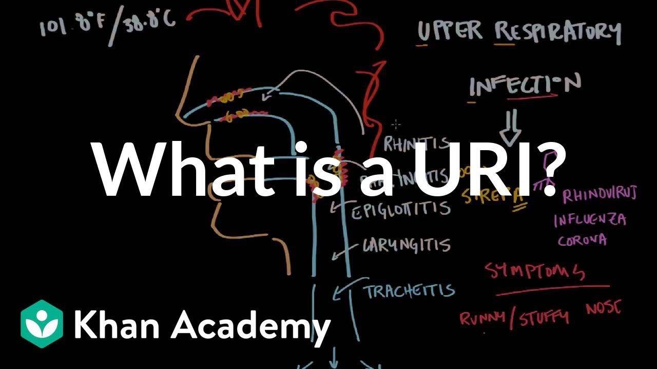 Uri Full Form In Medical